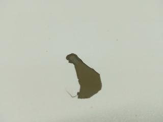 Крышка багажника OPTIMA TF 11-16