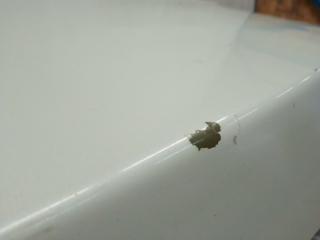 Крышка багажника OPTIMA TF 11-16