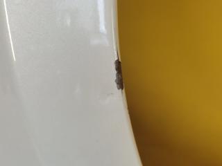 Крыло переднее переднее правое 3 BM 13-19