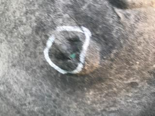 Подкрылок задний левый TLX 14-17