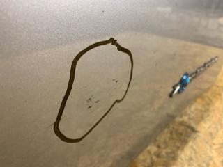 Дверь передняя правая LEAF 18-