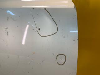 Дверь передняя правая LEAF 10-17