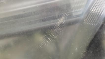 Фара передняя левая MDX (YD2) 06-13 2008 3.7 J37A1