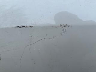 Дверь задняя левая CAMRY 40 06-11