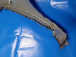 Крыло переднее левое LEAF 10-17