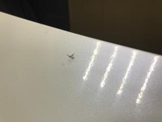 Спойлер крышки багажника RDX 12-19