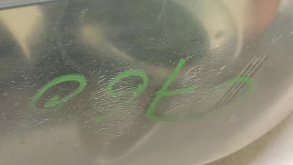 Фара левая 3 BK 03-08 2006 SEDAN 2.3 L3