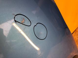 Капот LEAF 10-17