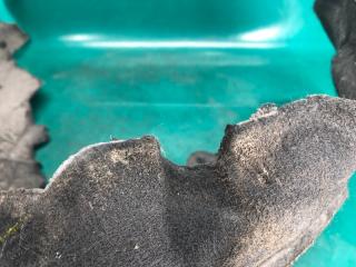 Подкрылок задний правый FUSION 14- 2016 2.5L