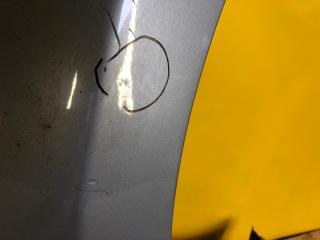 Крыло переднее правое LEAF 10-17