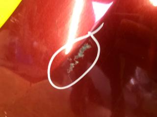 Крыло переднее левое LEAF 10-17