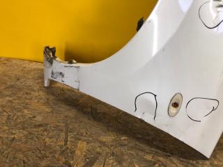 Крыло переднее левое LEAF 10-17