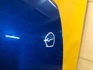 Дверь передняя правая LEAF 18-