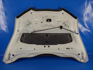 Капот LEAF 10-17