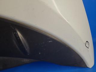 Капот LEAF 10-17