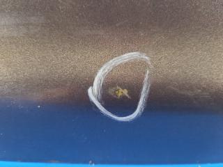 Крышка багажника ALTIMA L33 12-18