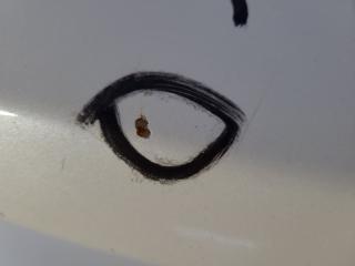 Крышка багажника GENESIS SEDAN 08-13