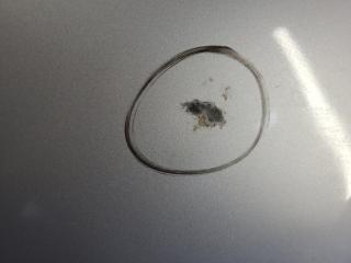 Крышка багажника LEAF 10-17