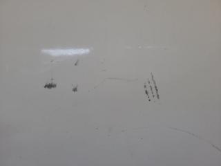 Дверь передняя левая YARIS 05–11