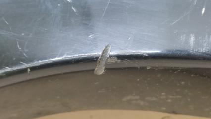 Накладка крыла (расширитель арки) передняя правая LAND CRUISER PRADO 120 02-09