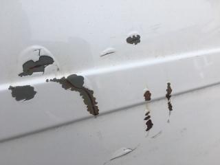 Крыша SORENTO XM 09-14 2012 XM 2.4 G4KJ