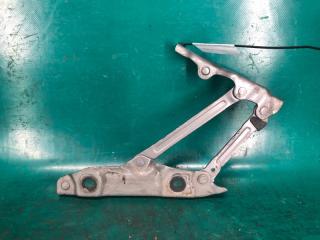 Петля крышки багажника правая INFINITI M25/M37/M56/Q70/M35H 10-16 Седан 3.7 VQ37VHR