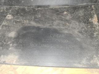 Накладка порога наружная правая EV6 21-