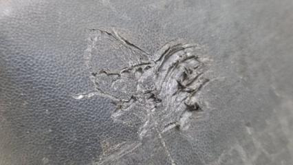 Брызговик передний левый X-TRAIL/ROGUE T32 13-20 2017 2.5 QR25DE