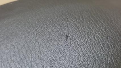 Подушка безопасности в руль PATHFINDER R52 12-21 2013 3.5 VQ35DE