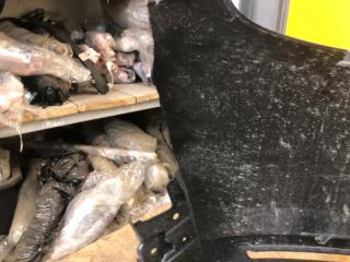 Бампер передний MX-30 20-