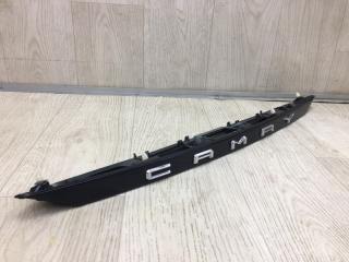 Панель подсветки номера CAMRY 70 17- 2020 GSV70 2.5 A25AFKS
