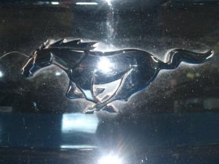 Накладка двери багажника MUSTANG 15- 2019 S550 2.3 C23HD0D