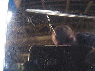 Накладка двери багажника FORD MUSTANG 15- S550 2.3 C23HD0D