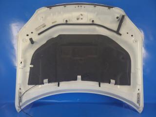 Капот 200 10-14 2013 3.6 ERB