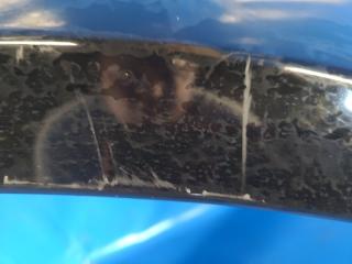 Крыло переднее правое CHRYSLER 200 10-14 2.4 ED3