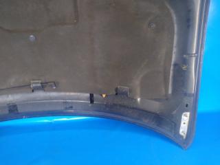 Капот 200 10-14 2012 2.4 ED3