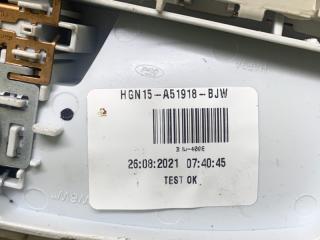 Плафон салона ECOSPORT 18-22 2021 1.0 L EcoBoost (Fox) turbo