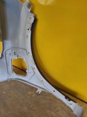 Накладка крыла (расширитель арки) передняя левая NIRO SG2 22-