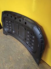 Капот IONIQ 19-22