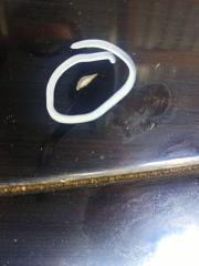 Крышка багажника CT200 11-17