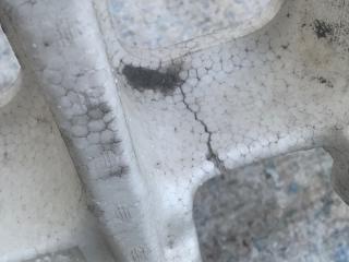 Наполнитель бампера задний ES300 ES330 01-06 2005 3.3 3MZFE