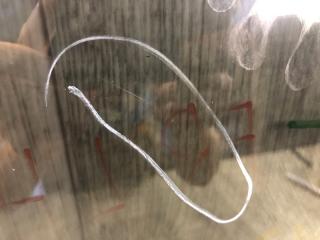 Стекло двери переднее левое Q50 15-20 2016 SEDAN 2.0T M274