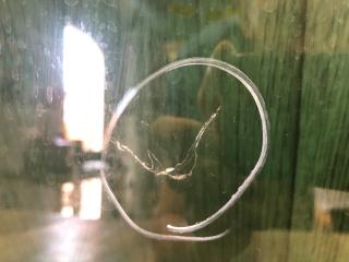 Стекло двери заднее левое TIGUAN 08-17 2011 5N 2.0 CCTA