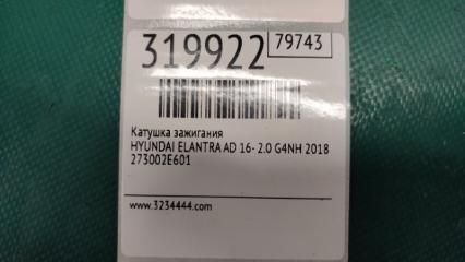 Катушка зажигания ELANTRA AD 16- 2018 2.0 G4NH