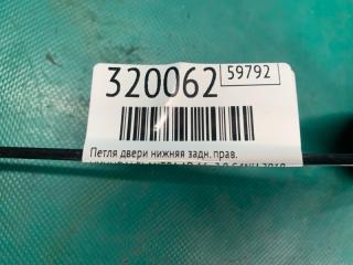 Петля двери нижняя задняя правая ELANTRA AD 16- 2019 2.0 G4NH