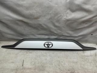 Панель подсветки номера RAV4 18-