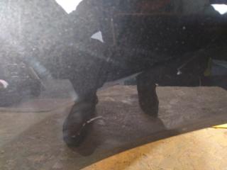 Дверь задняя левая KIA NIRO SG2 22-