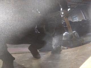 Дверь задняя левая NIRO SG2 22-