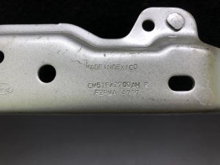 Петля крышки багажника правая FOCUS 10-18 2018 2.0 C20HDEX