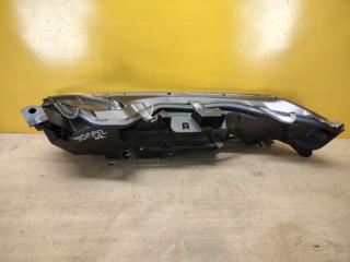 Дневной ходовой огонь правый NX 14-21